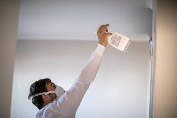 Best Best Mold Removal Companies  in Winston, OR