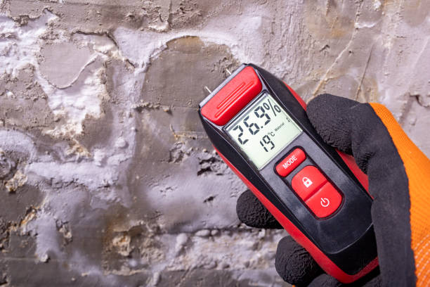 Best Fast Mold Removal  in Winston, OR