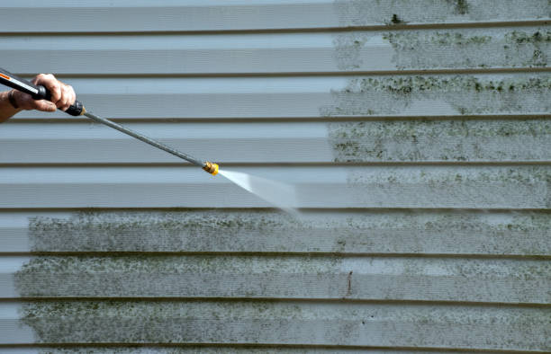 Best Mold Damage Repair  in Winston, OR