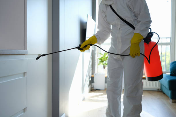 Best Crawl Space Mold Removal  in Winston, OR