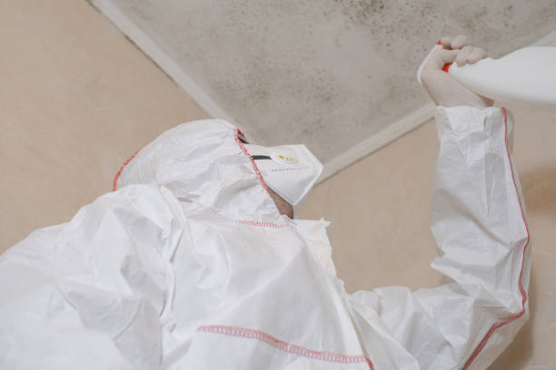 Best Office Mold Removal Services  in Winston, OR