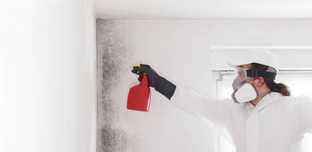 Best Emergency Mold Removal  in Winston, OR
