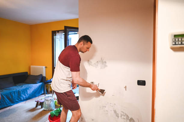 Best Mold Removal Company Near Me  in Winston, OR
